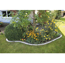 Zahradní scéna s květinovým záhonem, buxusovou koulí a trávníkem