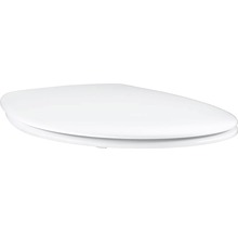 Toaletní sedátko z sanitární keramiky