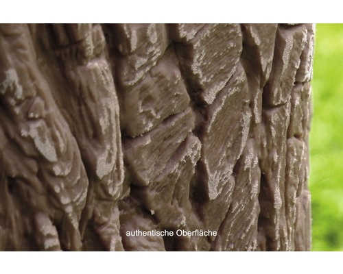 Detailní záběr struktury kůry stromu