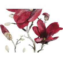 Dekorativní větev magnólie s květy a pupeny