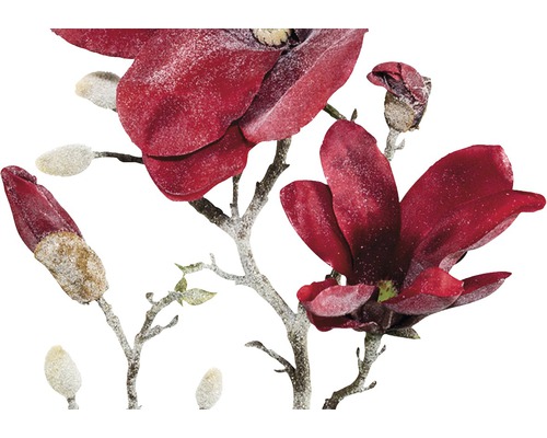 Dekorativní větev magnólie s květy a pupeny