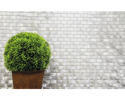 Dekorativní zelená rostlina v květináči před stěnou s kovovými mozaikovými dlaždicemi