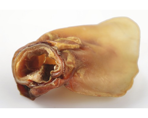 Prasečí ucho pro psy