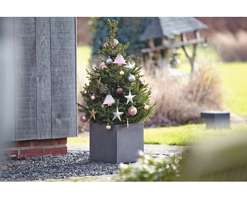 Zdobený jehličnan v květináči pro venkovní použití