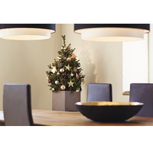 Vánoční dekorace s vánočním stromkem na jídelním stole