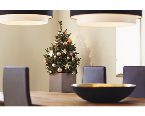 Vánoční dekorace s vánočním stromkem na jídelním stole