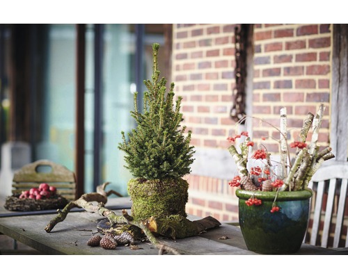 Dekorativní aranžmá se smrkem, bobulemi a dřevem na stole