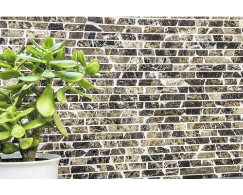 Obklad s kamenným vzorem a zelená pokojová rostlina v květináči