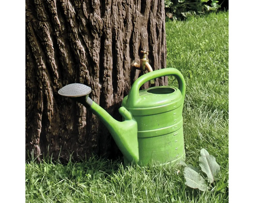 Zelená konev vedle stromu s kohoutkem