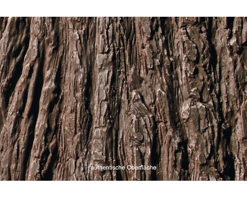 Detailní záběr povrchu se strukturou kůry stromu