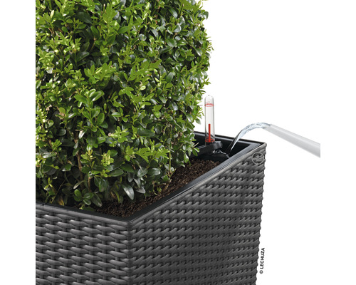 Zavlažování květináče s ukazatelem hladiny vody