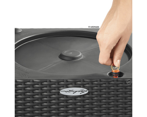 Detailní záběr květináče Lechuza se zavlažovacím systémem a ruky vkládající minci do zavlažovacího otvoru.