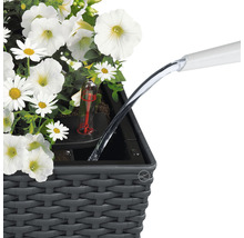 Truhlík na květiny Lechuza Balconera Cottage plastový 50x19x19 cm šedý-thumb-5