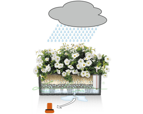 Vyobrazení truhlíku s zavlažovacím systémem v dešti