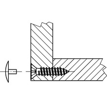 Ilustrace vrutu do dřeva spojujícího dva kusy dřeva
