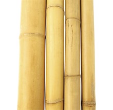 Bambusová trubka Ø 7-8 cm délka 200 cm-thumb-1