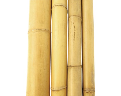 Detail bambusových tyčí