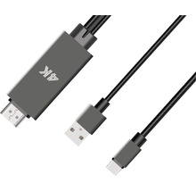 Adaptateur USB connecteur C fiche HDMI - HORNBACH