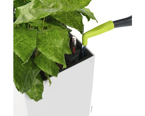 Zalévání rostliny v květináči se zavlažovacím systémem a ukazatelem hladiny vody