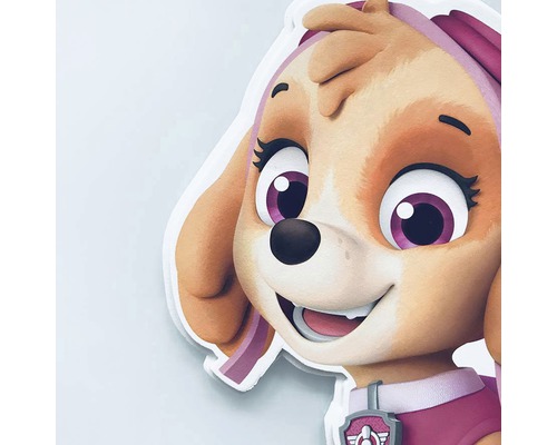 Detailní záběr Skye z Tlapkové patroly