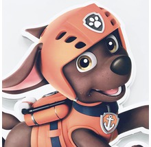 Nástěnná dekorace Paw Patrol Zuma