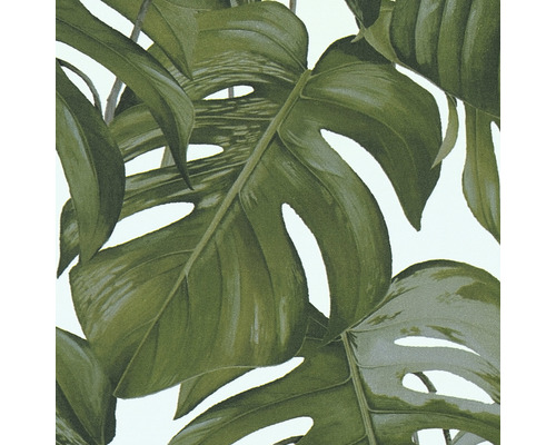 Tapeta s listy monstery