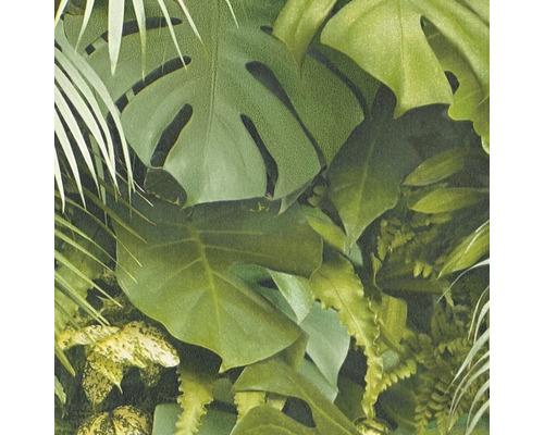 Detail tapety s motivem tropických listů