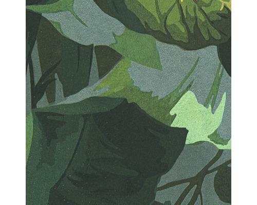 Detailní pohled na zelené listy