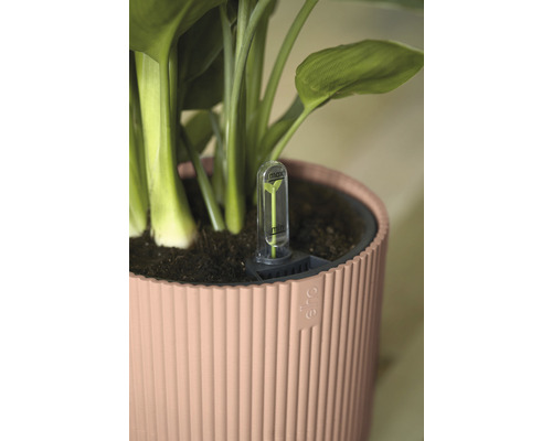 Rostlina v květináči s ukazatelem zavlažování
