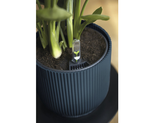 Květináč s vlhkoměrem v zemi