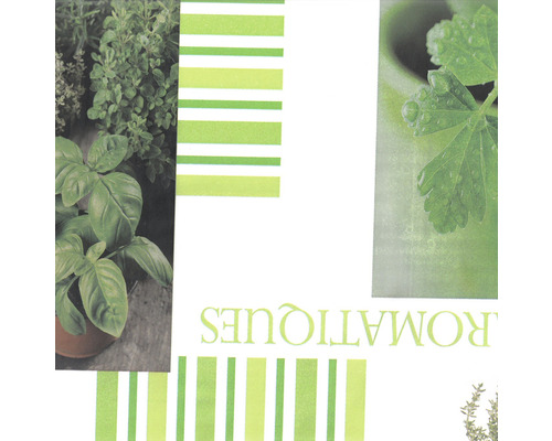 Papírový ubrousek s motivem bylin