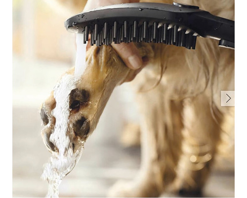 Psí tlapka čištěná kartáčem a vodou