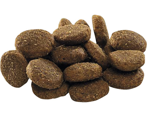 Hnědé suché krmivo pro psy kulatého a podlouhlého tvaru