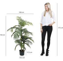 Umělá areková palma v květináči, výška 150 cm