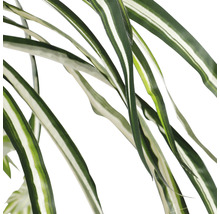 Detailní záběr listů umělé zelené lilie