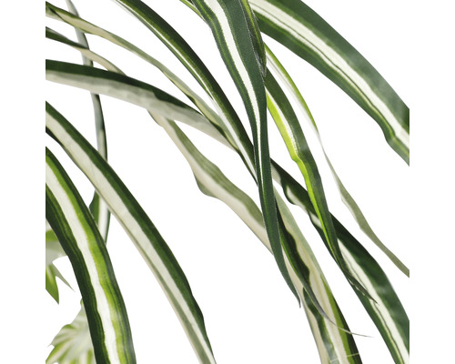 Detailní záběr listů umělé zelené lilie