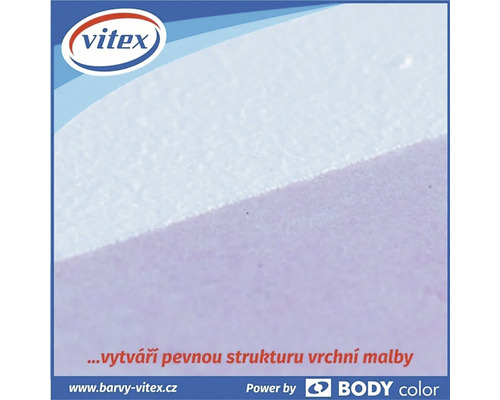 Logo Vitex na barevném poli