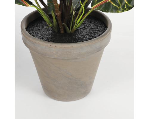 Květináč s rostlinou