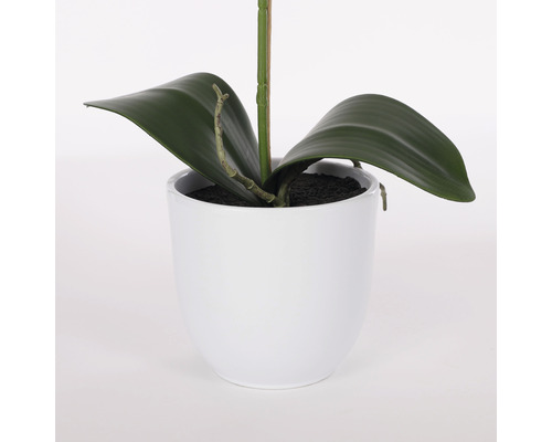 Umělá orchidej v bílém květináči