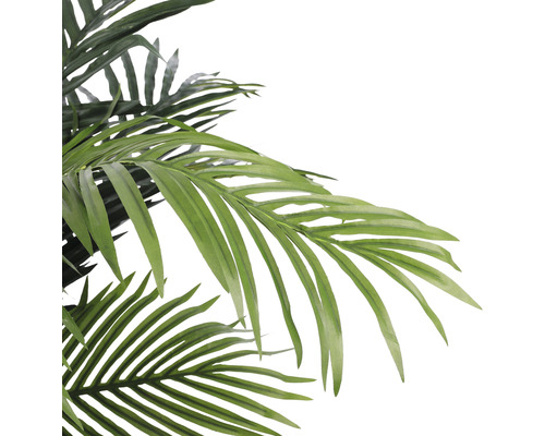 Detail palmových listů