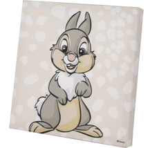 Plátno s motivem zajíce