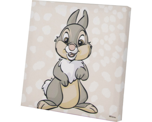 Plátno s motivem zajíce