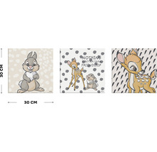 Sada tří nástěnných obrazů s Bambim a Dupanem, každý o rozměrech 30 krát 30 centimetrů