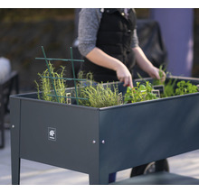 Zvýšený záhon s bylinkami a rostlinami na zahradě