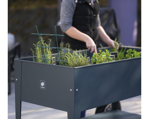 Zvýšený záhon s bylinkami a rostlinami na zahradě