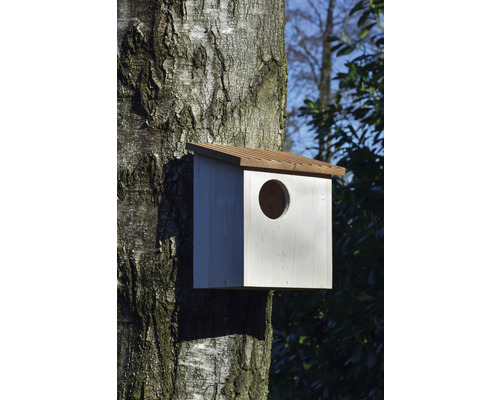 Dřevěná ptačí budka na kmeni stromu s kulatým vstupním otvorem.