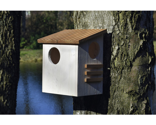 Dřevěná ptačí budka se dvěma kulatými vchody na stromě