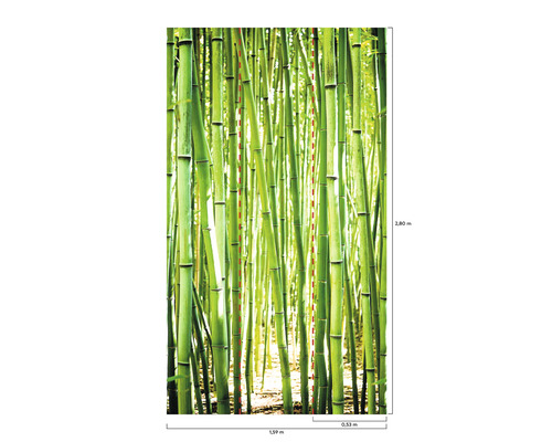 Fototapeta s motivem bambusu a rozměry