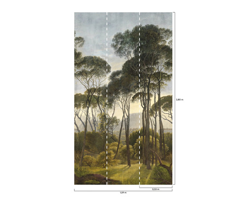 Fototapeta s motivem lesa a údaji o velikosti