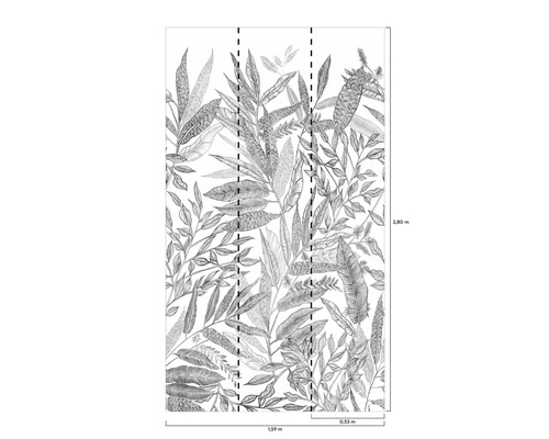 Tapeta s motivem listů a rozměry